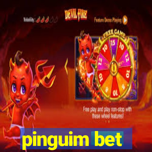 pinguim bet